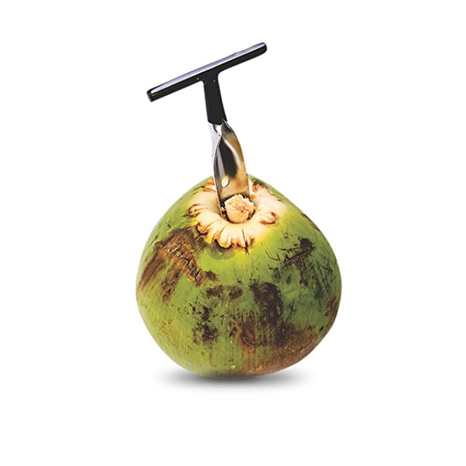BABYVIVA Coconut Opener Tool Stainless Steel Portable and